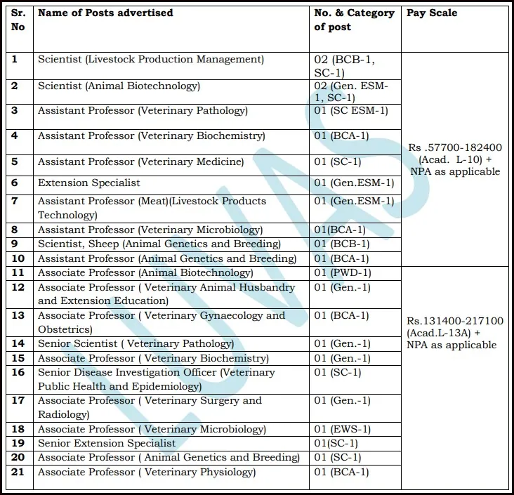 LUVAS Hisar Vacancy Details March 2024